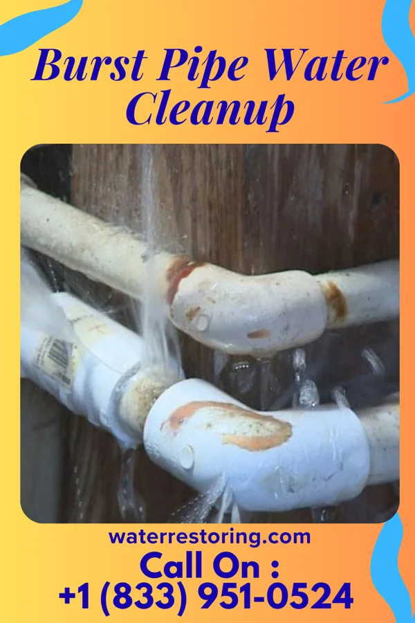 Burst Pipe Water Cleanup in Hancock, WI