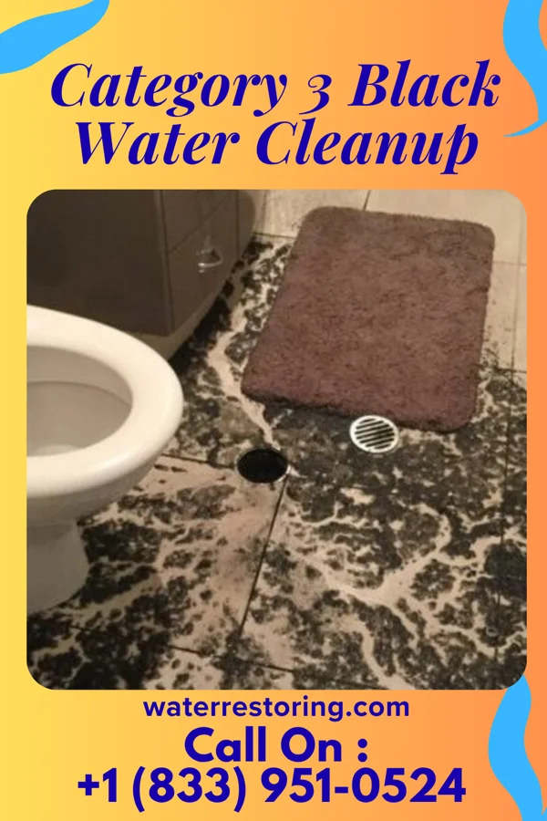 Category 3 Black Water Cleanup in Hancock, WI
