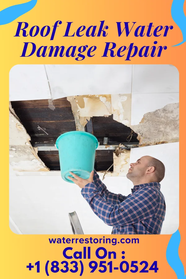 Roof Leak Water Damage Repair in Hancock, WI