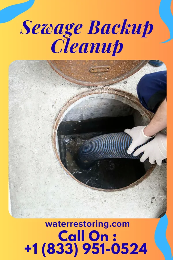 Sewage Backup Cleanup in Hancock, WI