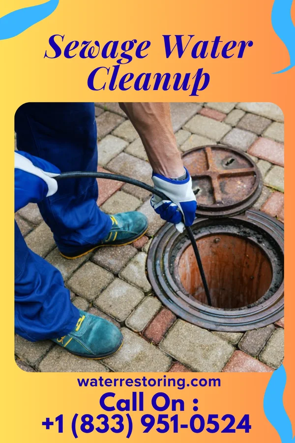 Sewage Water Cleanup in Hancock, WI