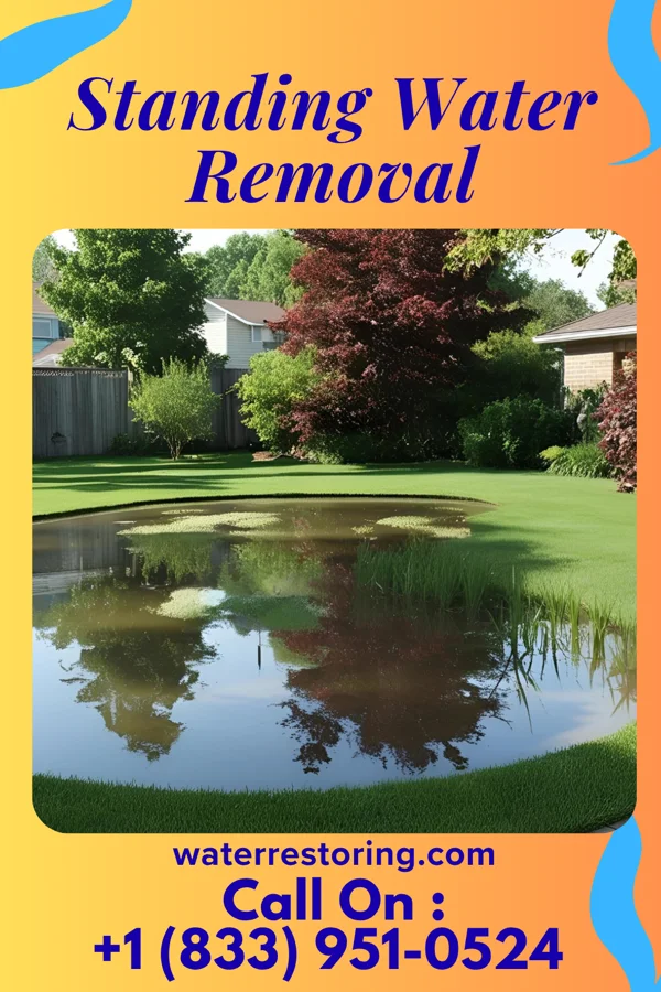 Standing Water Removal in Hancock, WI